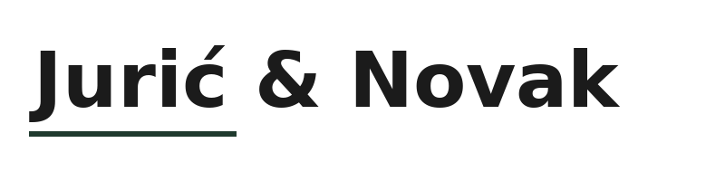 Jurić & Novak logo